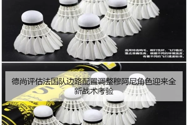德尚评估法国队边路配置调整穆阿尼角色迎来全新战术考验